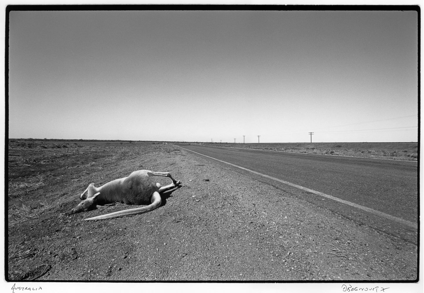 PMB "Australia"  1988, Murray Bognovitz
