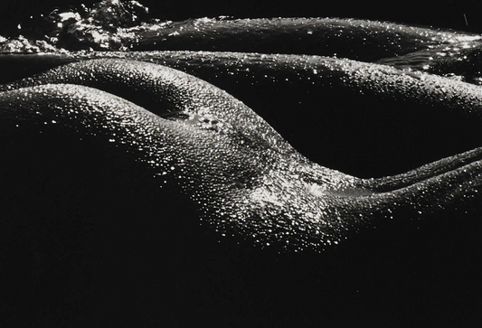 "Les géantes, Camargue" - Lucien Clergue.  1972, printed 1978