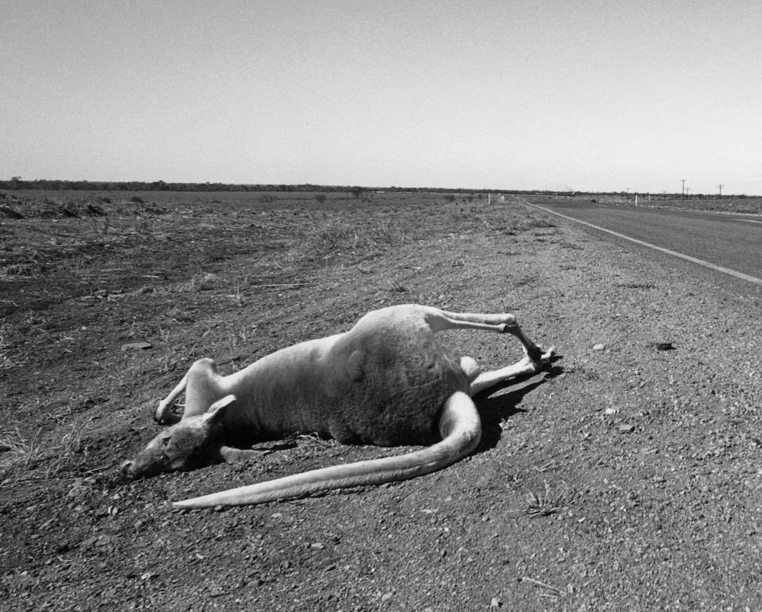 PMB "Australia"  1988, Murray Bognovitz
