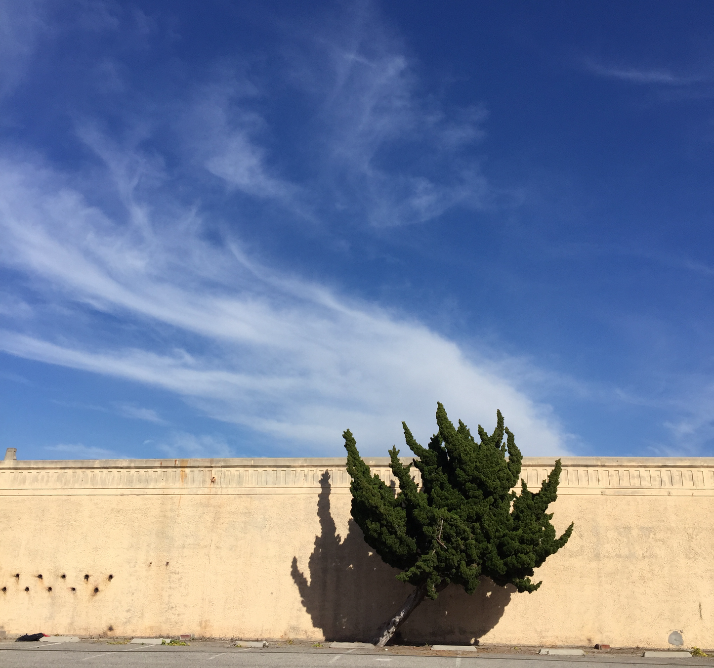 Sky Dragon, 2015
